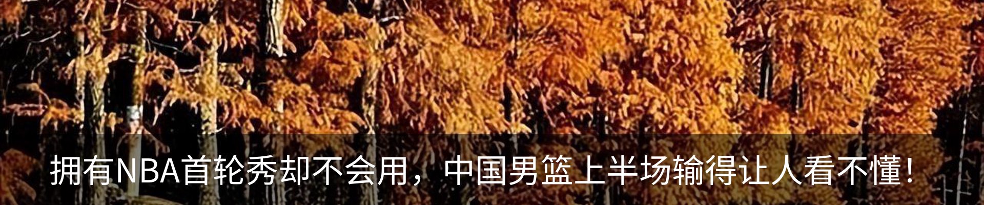 内页banner
